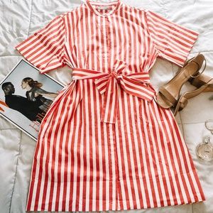 Everlane Striped Shirtdress